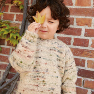 Mönster: Dave Sweater Junior, 2408-08 Sandnes